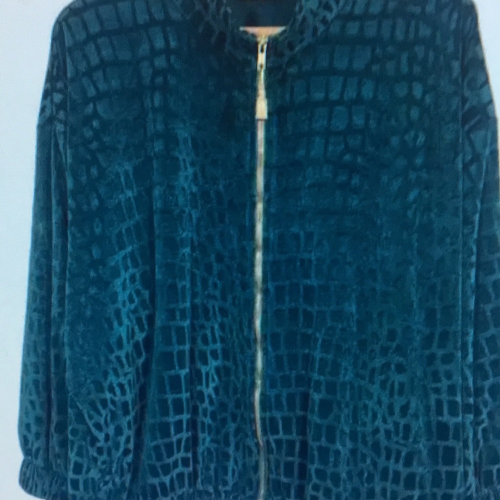 Teal Teddy Jacket with Luxurious Texture and Gold Zipper